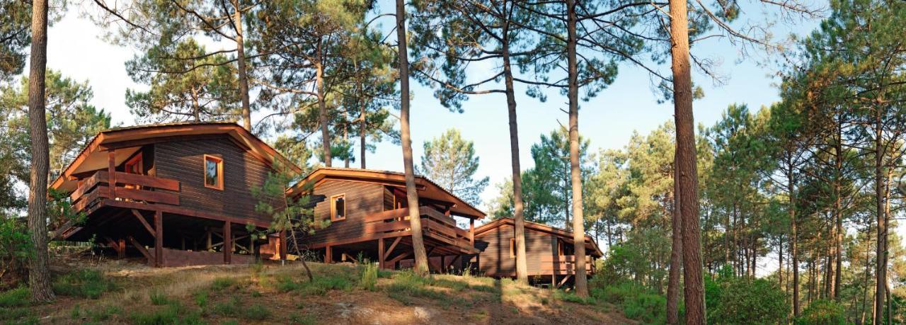 Residence Les Sentes Carcans Bagian luar foto